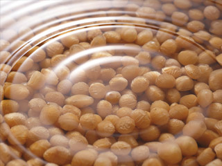 水を含ませている大豆