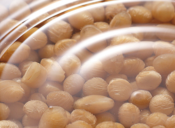 水に浸した大豆