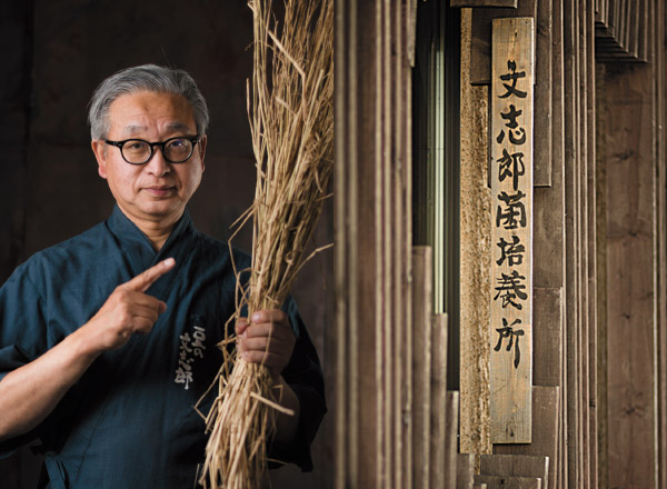 文志郎菌培養所